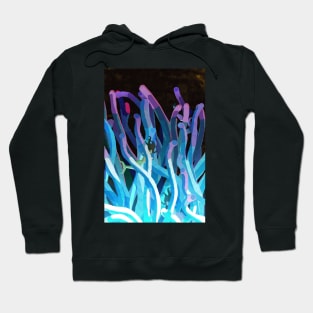 Mermaid Anemone Hoodie